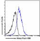 SDF4 (aa161-175) Antibody (internal region)