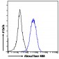 RORC (aa200-212) Antibody (internal region)