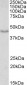 Doublecortin / DCX  (aa232-242) Antibody (internal region)