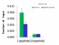 SUZ12 antibody - middle region