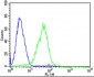 (Mouse) Dlk1 Antibody (C-term)