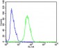 CDK5 Antibody (C-term)