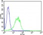 PIP4K2A Antibody (C-term)