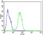 (Mouse) Epcam Antibody (C-term)