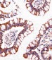 ATP5B Antibody (Center)