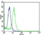 Mouse Mapk3 Antibody (C-term)