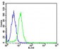 SP1 Antibody