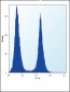 ENO1 Antibody (Center)