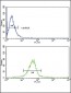 GSTM1 Antibody (C-term)