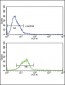 HSPA8 Antibody (N-term)