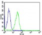 CAPN1 Antibody