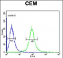 CD46 Antibody (C-term)