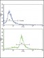 MCCC2 Antibody (Center)