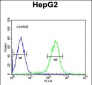 SMAD6 Antibody (Center)