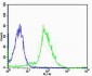 GADD45GIP1 Antibody (N-term)