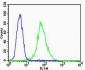 VEGFR3 Antibody