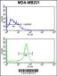 ALDH2 Antibody