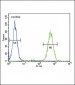 SLC25A37 Antibody (C-term)