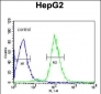 SERPINC1 Antibody (C-term)