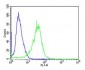 PCSK9 Antibody (N-term)