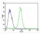 CCL15 Antibody