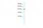 TBX6 antibody - N-terminal region