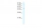 DDX19A antibody - N-terminal region
