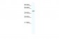 GJA5 antibody - N-terminal region