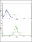 APRT Antibody (N-term)