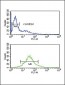 PDK2 Antibody