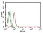 Cyclin D1 (G1-Cyclin & Mantle Cell Marker)Mouse Monoclonal Antibody [Clone DCS-6]