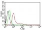 Ku (p70/p80)Mouse Monoclonal Antibody [Clone KU729]