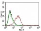 Ep-CAM / CD326 (Epithelial Marker)Mouse Monoclonal Antibody [Clone EGP40/837]