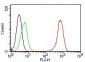 CD31 / PECAM-1 (Endothelial Cell Marker)
Mouse Monoclonal Antibody [Clone C31.7]