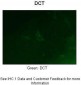 Dct antibody - middle region