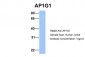 AP1G1 antibody - C-terminal region