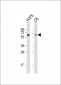 SOX10 Antibody (Center)