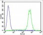 DKK1 Antibody