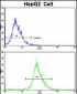 RPS15 Antibody (N-term)