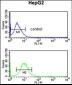 PECI Antibody (C-term)