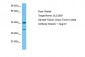 S35D1 Antibody - C-terminal region