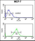 SNRPD3 Antibody (C-term)