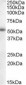 CYP19 / Aromatase Antibody (Internal)