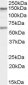 CARMA1 / CARD11 Antibody (C-Terminus)