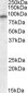 GRIA4 / GLUR4 Antibody (Internal)