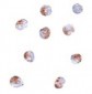 PDCD5 Antibody (C-Terminus)