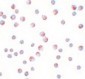 ATG9B Antibody (C-Terminus)