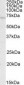REL / C-Rel Antibody (Internal)