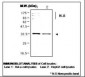 VDAC1 / PORIN Antibody (C-Terminus)