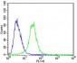 CES2 Antibody (Center)